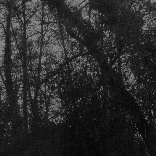 Abysmal Growls Of Despair : La For​ê​t Hors du Temps